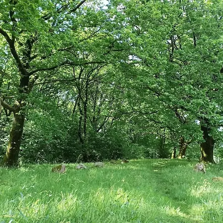 Charming Retreat In Sydjylland - By Traum 度假居