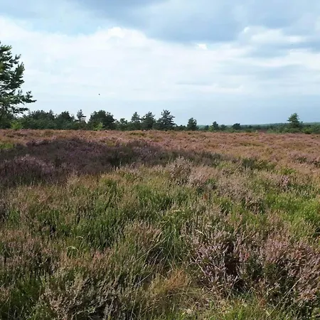 度假居 Charming Retreat In Sydjylland - By Traum