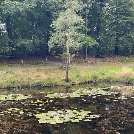 Charming Retreat In Sydjylland - By Traum Hovborg